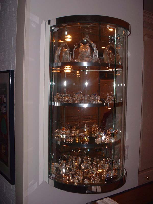 Custom Bent Glass Wall Hung Display Case