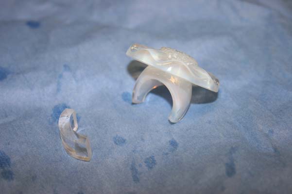 LaLique crystal  ring cut and fit replacement piece