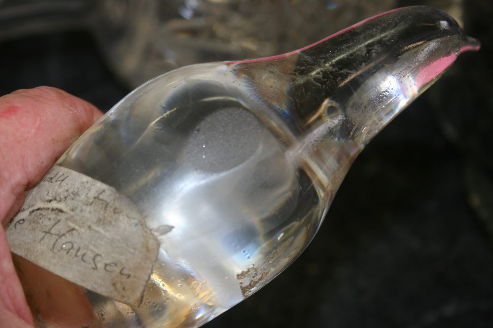 Steuben Crystal Repair Project Repair Gallery Bruening Glass Works